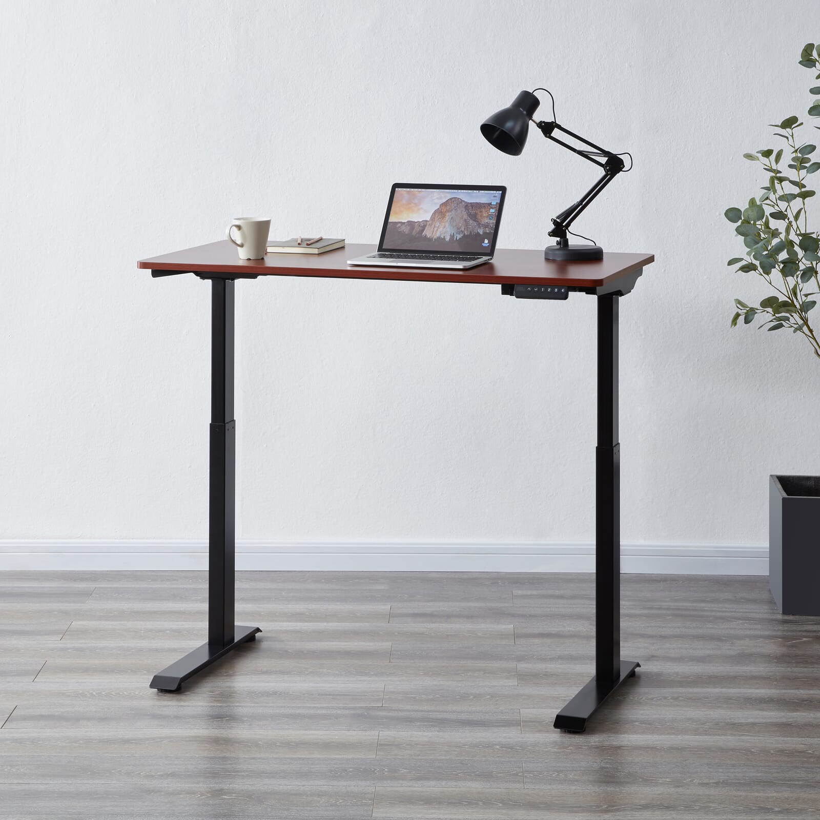 Black frame and walnut top height adjustable desk. 