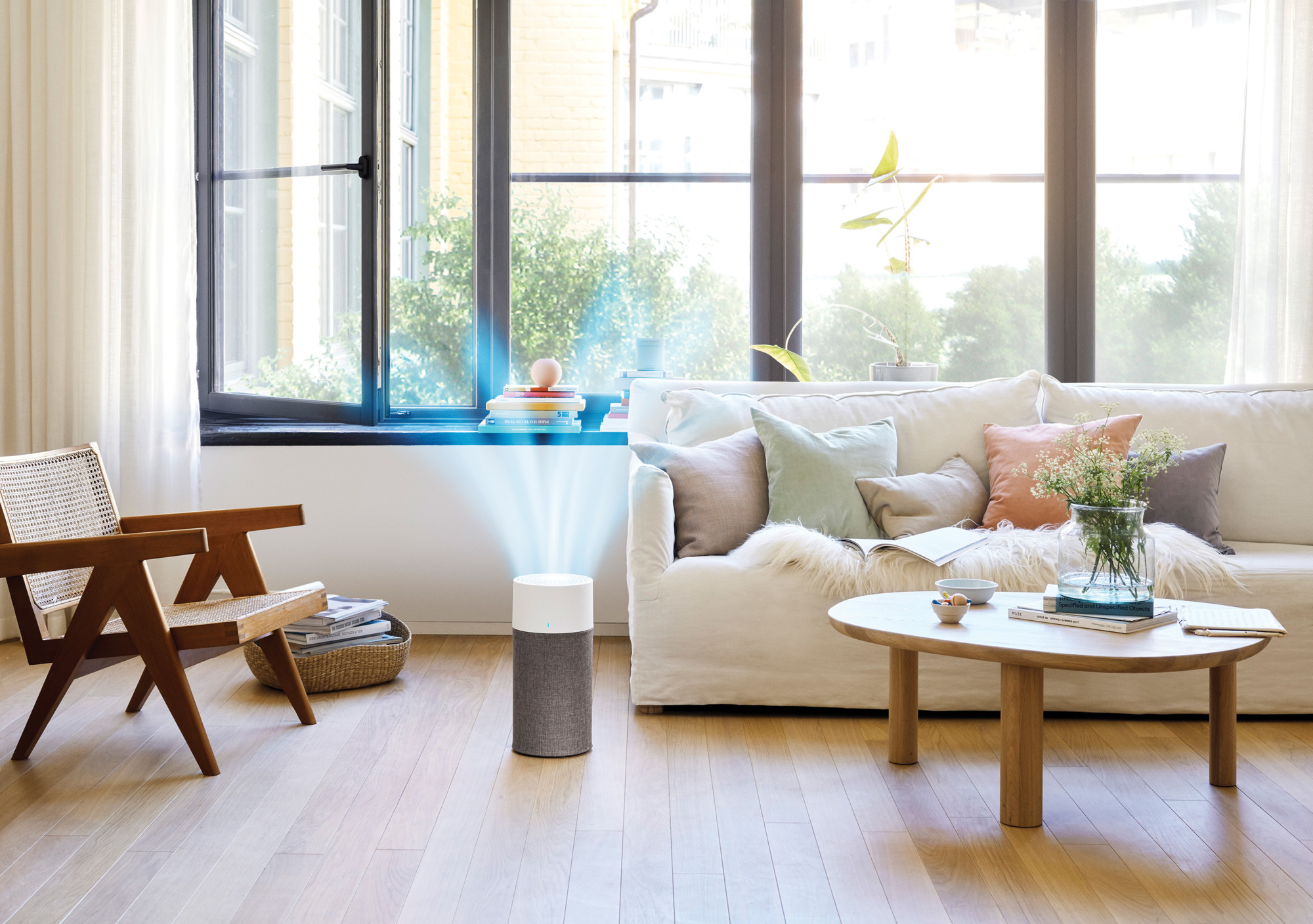 Relive your allergies and boost your productivity at home with an air purifier.