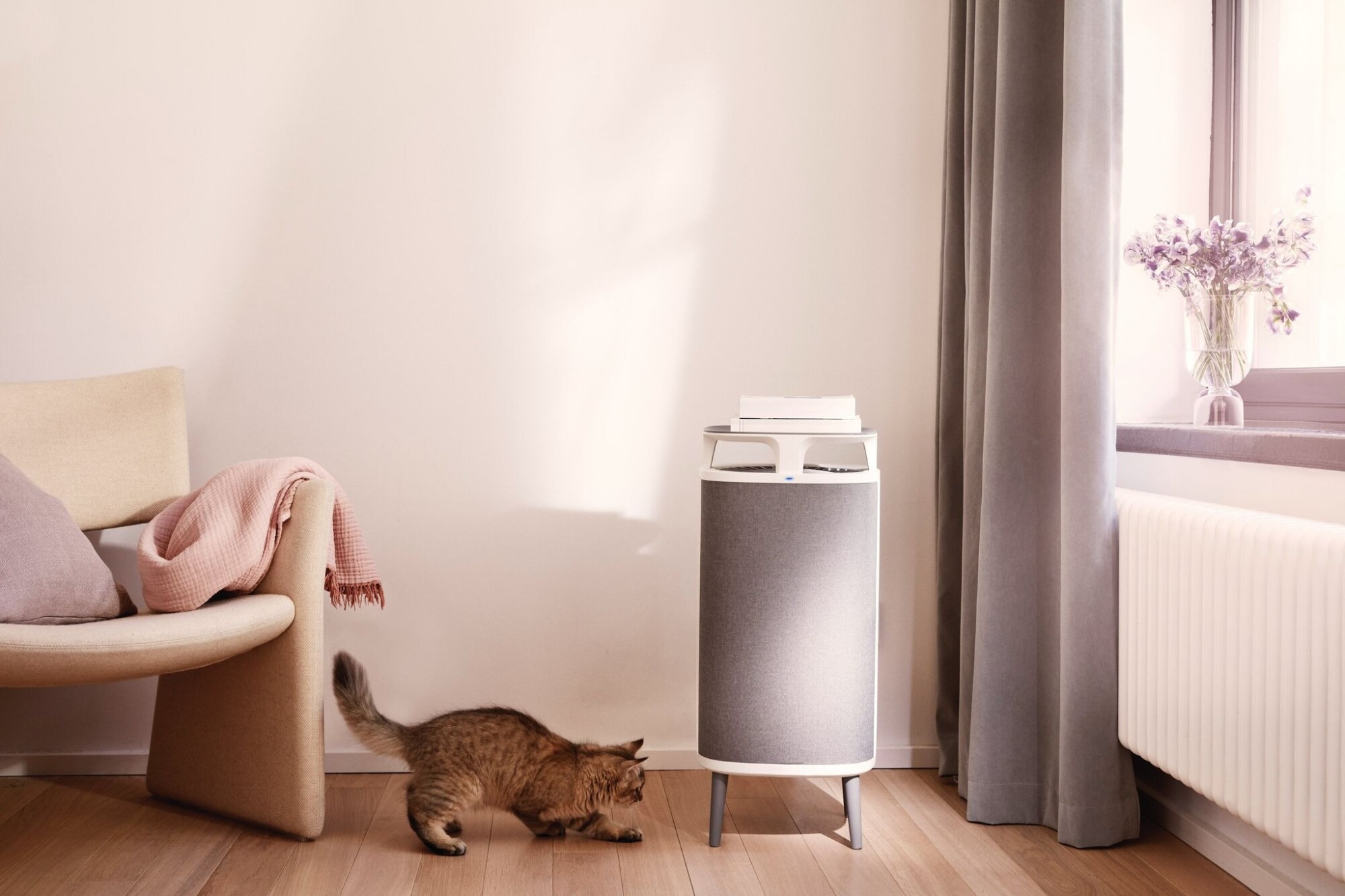 Blueair DustMagnet 5240i helps to remove pet dander and odours from your home for cleaner healthier air.