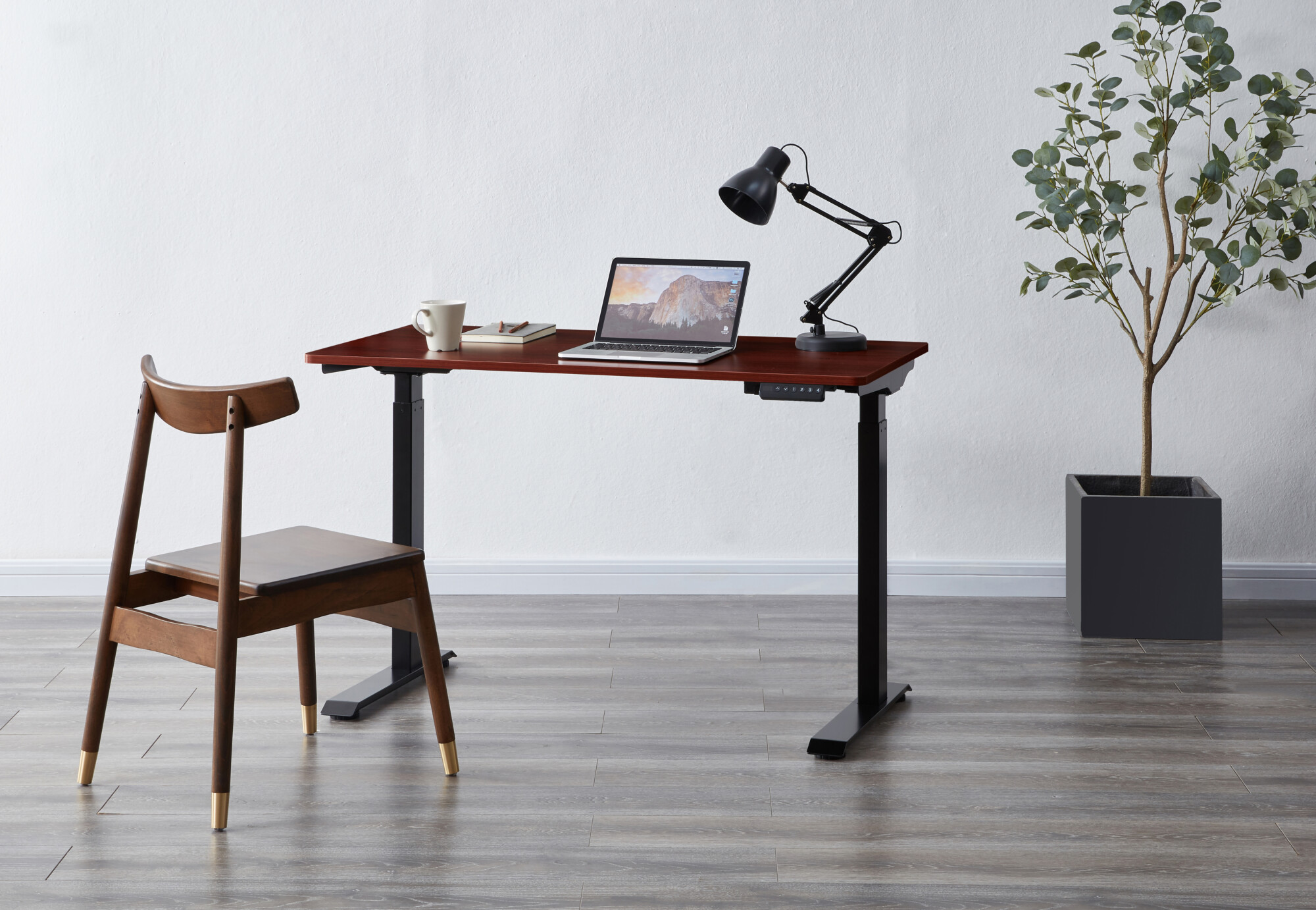 Standing desk with a mahogany desk top and black steel legs